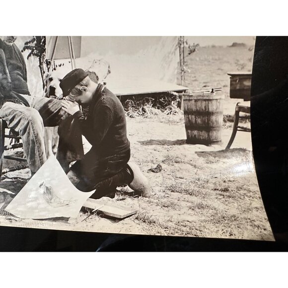 Vintage 1959 "A Dog Of Flanders" Movie Still Photo With David Ladd & Donald Cris - Picture 8 of 14